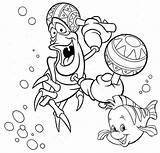 Coloring Flounder Sebastian Mermaid Little Pages Sixteen Fans Cute Disney sketch template