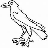 Raven Heraldic Heraldicart Traceable sketch template