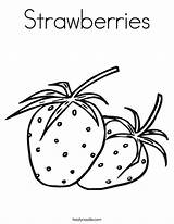 Coloring Strawberry Strawberries Plant Getcolorings sketch template