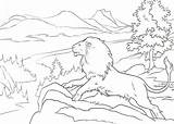Narnia Aslan Coloriage Cronicas Imprimer sketch template