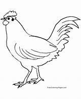 Huhn Dibujos Aves Ayam Gambar Ausmalbild Kostenlos Sketsa Chickens Mewarnai Jago Du Coloriages Sc sketch template