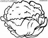 Cauliflower Colorings sketch template