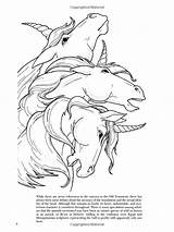 Unicorns Einhorn Dover Christy Shaffer Yksisarvinen sketch template