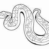 Colorir Snake Cobras Imprimir Naja Rastejando Tudodesenhos Encontra sketch template
