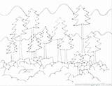 Forest Coloring Pages Fire Deciduous Getcolorings sketch template