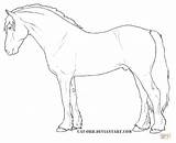 Welsh Pony Shetland Cob Ausmalbild Tegninger Hest Zum Pferde Palomino Farvelægning sketch template