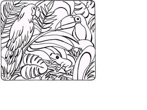 jungle scene coloring pages   jungle scene coloring