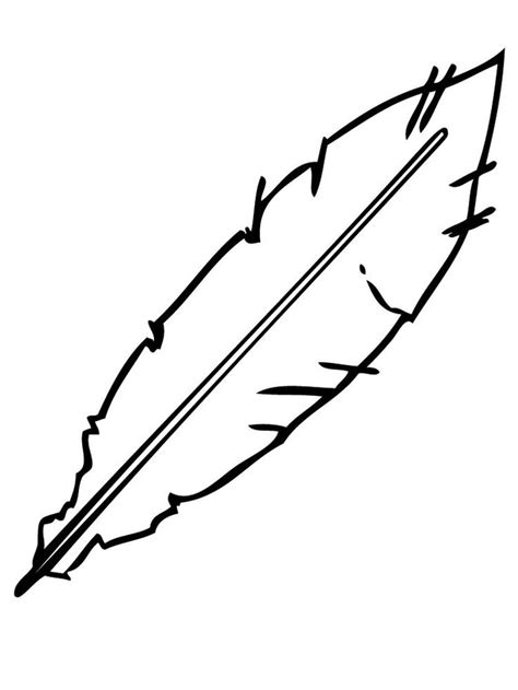 eagle feather coloring page feather   body cover structure  birds