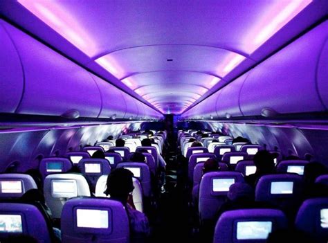 flight attendants  told    secrets  flying page