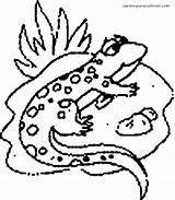 Colorear Lagartijas Lizard Colorat Soparla Soparle Lizards Desene Animale Locos Esos Bajitos P04 Planse Primiiani Sheet sketch template