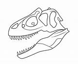 Skull Allosaurus Coloring Drawing Prehistoric Skeleton Rex Skulls Drawings Dinosaur Color Getcolorings Google sketch template