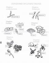 Worksheet Biology Coloring Worksheets Kingdoms Six Protist Activity Pages Template Sketch Color Printable Choose Board sketch template