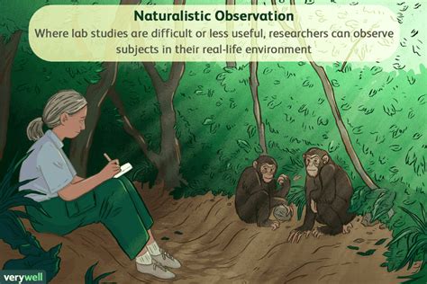 naturalistic observation  psychology