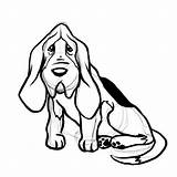 Hound Dog Basset Bloodhound Draw Drawing Coloring Outline Pages Drawings Step Head Dogs Wikihow Getdrawings Getcolorings sketch template