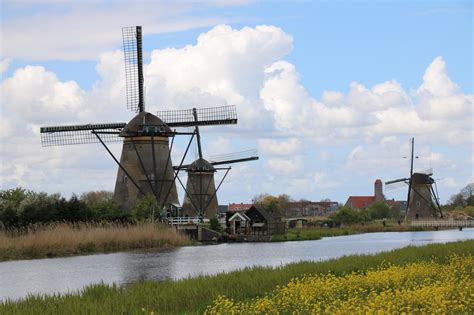 kinderdijk windmills  royal delft pottery