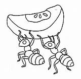 Ant Coloring Pages Kids Ants Colouring Cartoon Cute Drawing Sheet Printable Color Clipart Cliparts Marching Apple Printables Plain Clip Children sketch template