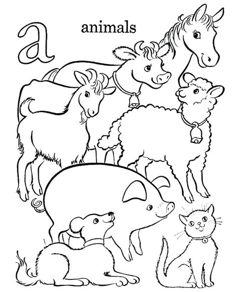 baby farm animal coloring pages  getcoloringscom  printable