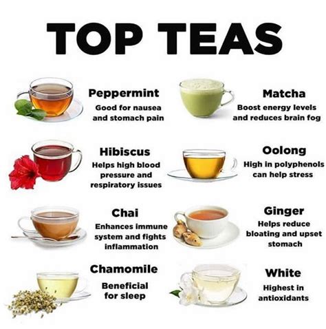 favorite   peppermint tea  herbal tea tea health
