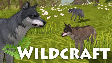 learning  mates secrets surprises wildcraft  wolfs journey  youtube