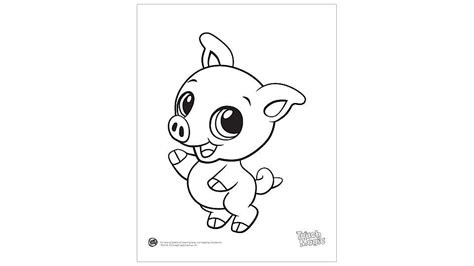 baby pig coloring printable baby pigs cute baby animals cute piglets