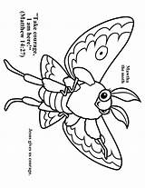 Moth Getcolorings Vbs Designlooter Brighten sketch template