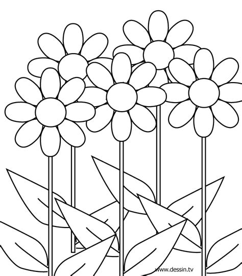 flower coloring pics flower coloring page