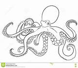 Octopus Coloring Drawing Line Mollusc Pages Details High Doodle Drawings Hand Tattoo Illustration Outline Designlooter Oceanic Drawn Animal Coloriage Getdrawings sketch template