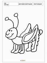Ant Coloring Pages Preschool Printable sketch template