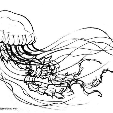 cartoon jellyfish coloring pages clip art  printable coloring pages