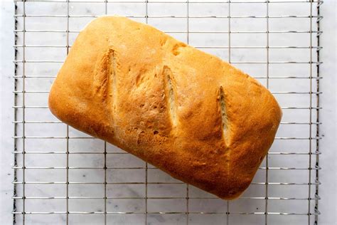 basic bread recipe  beginners