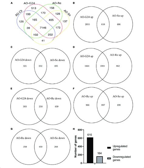 venn diagram analysis of degs a comparison of the expressed genes