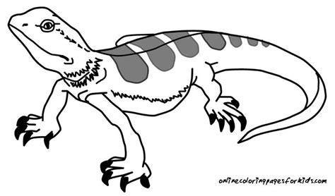 lizard coloring pages coloring home