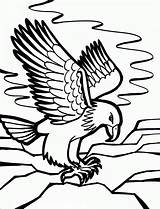 Eagle Coloring Bald Pages Printable Kids sketch template