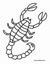Scorpion Coloring Pages Animals Color Scorpions sketch template