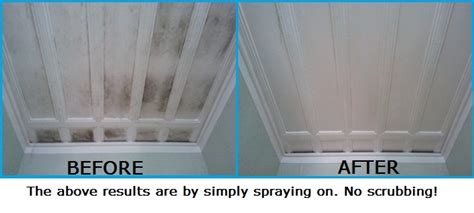 how to clean remove mould off ceilings curtain mould