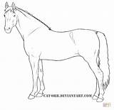 Coloring Warmblood Mare Pages Drawing Printable Color sketch template