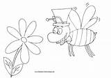 Fliege Schleife Blume Zylinder Schicke Nadines Simsalabim Hase Vorschau Malvorlagen sketch template