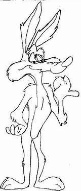 Looney Coloring Tunes Pages Coyote Wile Color Colouring Disney Kids Cartoon Sheets Drawings Toons Characters Drawing Adult Cartoons Walt Stencils sketch template