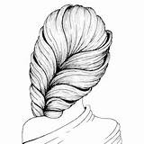 Dessin Acconciatura Chignon Cheveux Coiffure Drawn Disegnato Femminile Vettore Imprimer Brune sketch template