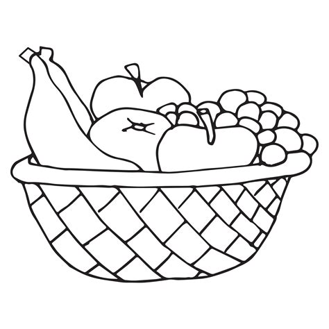 fruit basket drawing vector art icons  graphics