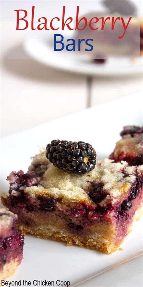 blackberry pie bars recipe blackberry pie bars yummy food dessert