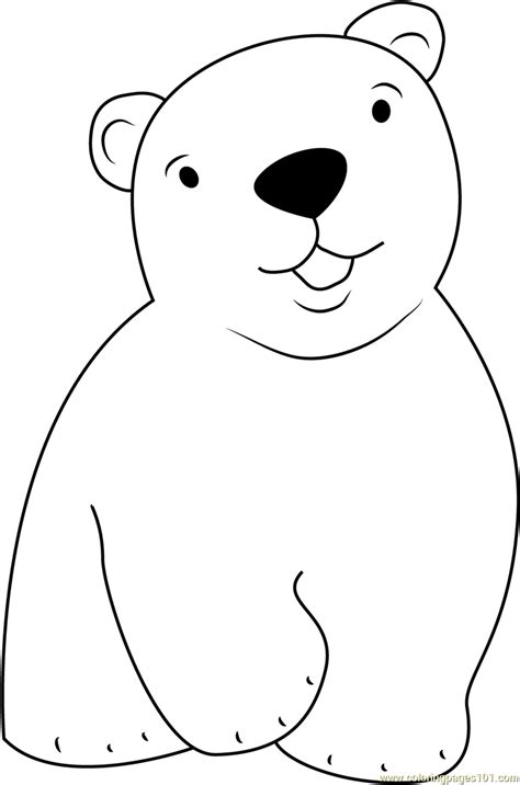 polar bear coloring pages  kids