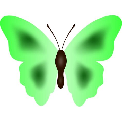 butterfly  green color  svg