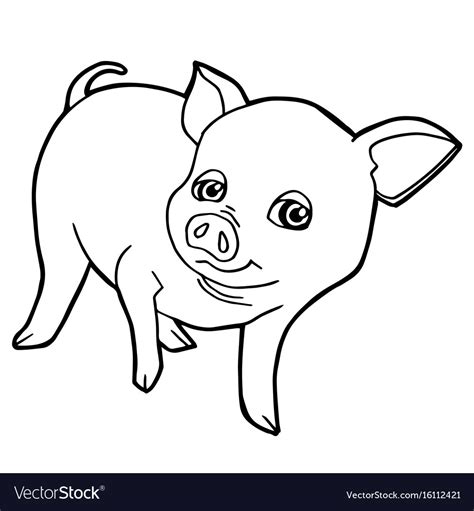 cartoon cute pig coloring page royalty  vector image