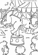 Zirkus Elefant Malvorlage Elefanten Ausmalbild Ausmalen öffnet Klick Kostenlose sketch template