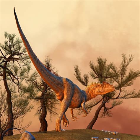 allosaurus  large theropod dinosaur  lived    million