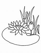 Pond Coloring Lotus Pages Flower Drawing Animals Water Color Flowers Summer Getcolorings Getdrawings Growing Lily Surprising Chinese Drawings sketch template