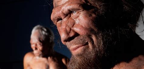 neanderthals and humans had ample time for interbreeding natural