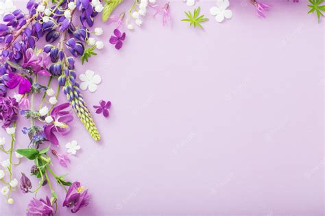 background flower violet designs