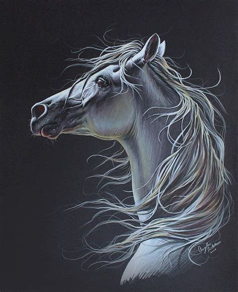 arabian horse colored pencil drawing original artwork   etsy